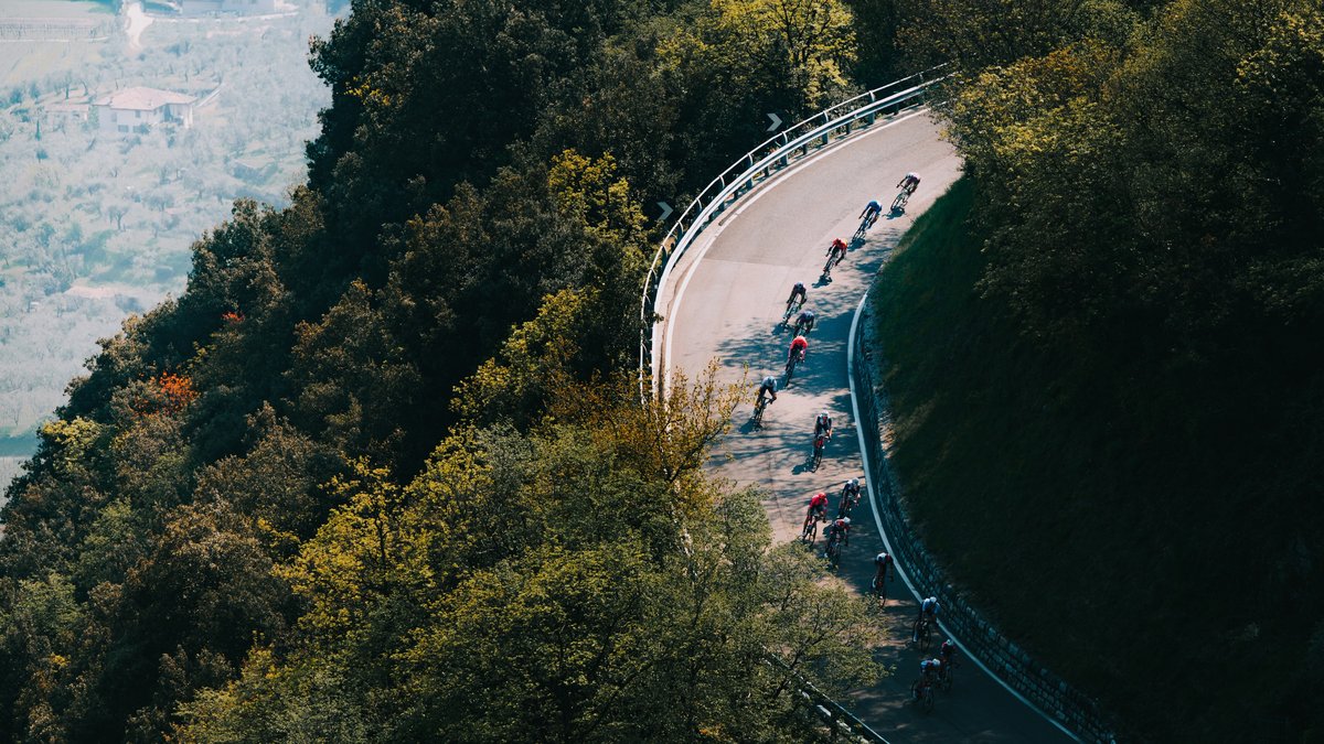 Geschlossenes Fahrerfeld auf einer kurvigen Strasse durch Waldgebiet