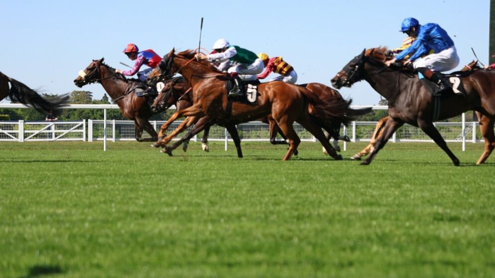 British Champions Day 2026: Rennen, Favoriten & Starter (17.10.)