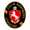 Deportes Limache