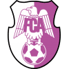 F.C. Argeș Pitești