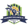 Marumo Gallants F.C.