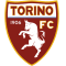 FC Turin