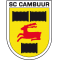 SC Cambuur-Leeuwarden