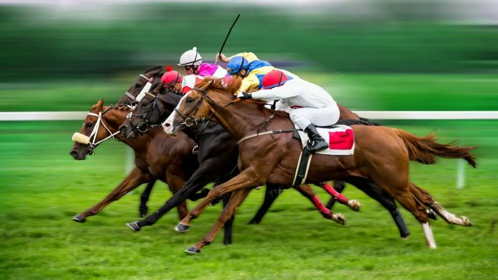 Prix de l’Arc de Triomphe 2026: Termin, Starterfeld und Übertragung (04.10.)