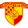 Teamlogo
