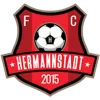 AFC Hermannstadt Logo