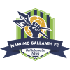 Marumo Gallants F.C.