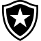 Botafogo de Futebol e Regatas