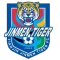 Tianjin Jinmen Tiger F.C.