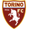 FC Turin
