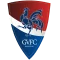 Gil Vicente F.C.